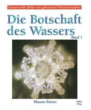 Die Botschaft des Wassers 1