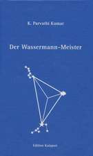 Der Wassermann-Meister