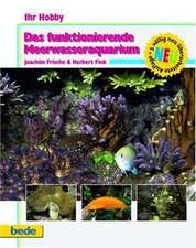 Ihr Hobby: Das funktionierende Meerwasseraquarium