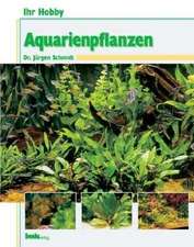 Ihr Hobby Aquarienpflanzen