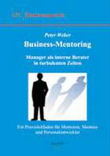 Business-Mentoring