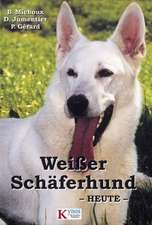 Weißer Schäferhund heute