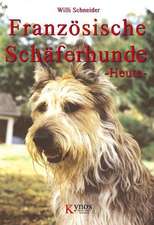 Französische Schäferhunde Heute