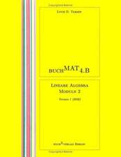 BuchMat 4.B Lineare Algebra Moduln 2