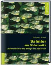 Salmler aus Südamerika