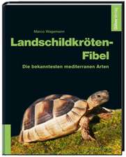 Landschildkröten-Fibel