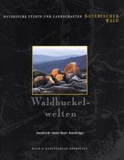 Grill: Waldbuckelwelten/Bayer. Wald