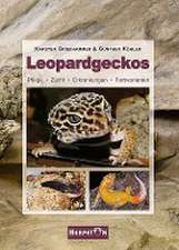 Leopardgeckos