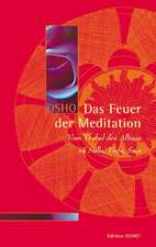 Das Feuer der Meditation