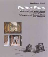 Ruins: Reflexions About Violence, Chaos & Transience
