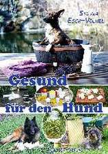 Gesund für den Hund