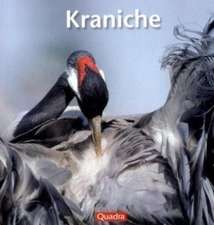 Kraniche