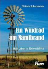 Ein Windrad am Namibrand