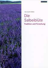 Die Salbeiblüte