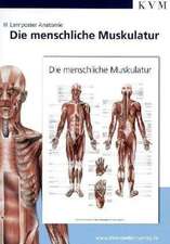 Anatomie Lernposter. Die menschliche Muskulatur