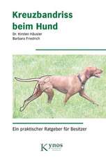 Kreuzbandriss beim Hund