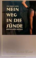 Mein Weg in die Sünde 1 - Erotischer Roman