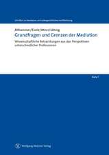 Grundfragen und Grenzen der Mediation