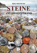 Steine am Ostseestrand