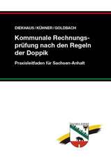 Kommunale Rechnungsprüfung nach den Regeln der Doppik