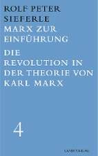 Marx zur Einführung / Die Revolution in der Theorie von Karl Marx