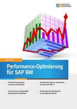 Performance-Optimierung für SAP BW