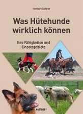 Was Hütehunde wirklich können