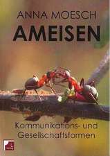 Ameisen