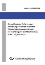 Entwicklung von Verfahren zur Herstellung von Pellets mit hoher Wirkstoffbeladung durch Pulverbeschichtung und Direktpelletierung in der Luftgleitschicht