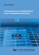 Funktionalisierung von Metalloberflächen durch Femtosekundenlaserstrahlung