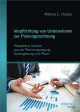 Verpflichtung Von Unternehmen Zur Planungsrechnung: Prospektive ANS Tze Aus Der Rechnungslegung, Gesetzgebung Und Praxis