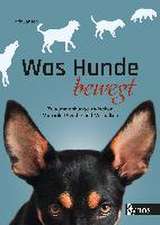 Was Hunde bewegt