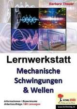 Lernwerkstatt Mechanische Schwingungen und Wellen