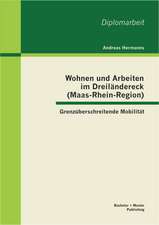 Wohnen Und Arbeiten Im Dreilandereck (Maas-Rhein-Region): Grenzuberschreitende Mobilitat