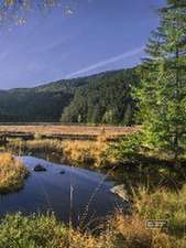 Faszination Bayerischer Wald