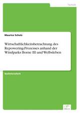 Wirtschaftlichkeitsbetrachtung des Repowering-Prozesses anhand der Windparks Borne III und Welbsleben