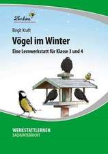 Vögel im Winter (PR)