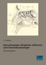 Geruchsorgan (Organon olfactus) und Geschmacksorgan