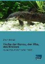 Fische der Donau, der Elbe, des Rheines