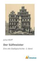 Der Sulfmeister: Eine Alte Stadtgeschichte - 2. Band