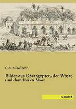 Bilder aus Oberägypten, der Wüste und dem Roten Meer