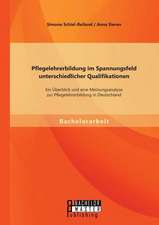 Pflegelehrerbildung Im Spannungsfeld Unterschiedlicher Qualifikationen: Ein Uberblick Und Eine Meinungsanalyse Zur Pflegelehrerbildung in Deutschland