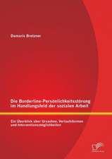 Die Borderline-Personlichkeitsstorung Im Handlungsfeld Der Sozialen Arbeit: Ein Uberblick Uber Ursachen, Verlaufsformen Und Interventionsmoglichkeiten