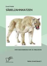 Sabelzahnkatzen: Von Machairodus Bis Zu Smilodon