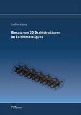 Einsatz von 3D Drahtstrukturen im Leichtmetallguss