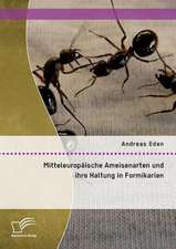 Mitteleuropaische Ameisenarten Und Ihre Haltung in Formikarien: Konzeption Und Praxis