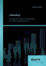 Hohenflug. Konzept Eines Bci-Computerspiels Zur Hohenangst-Reduktion: Wiedereingliederung Und Karriereplanung ALS Schlussel Eines Professionellen Personalmanagements