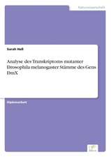 Analyse des Transkriptoms mutanter Drosophila melanogaster Stämme des Gens DmX