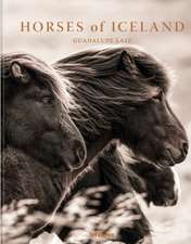 Horses of Iceland