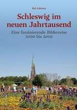 Schleswig im neuen Jahrtausend